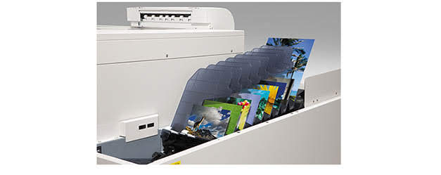 Epson D3000